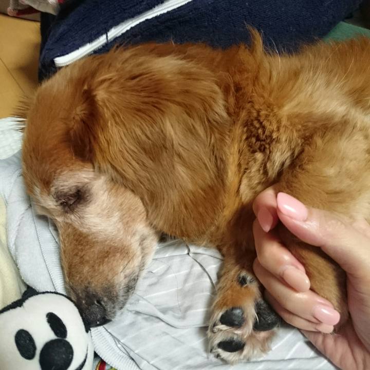 5ec51383 7bc4 47f8 a026 05aca10cbc78