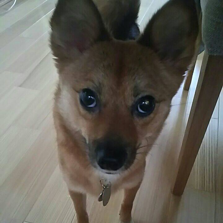 5ec566cc c54b 4893 8ea4 88fea0170f1c