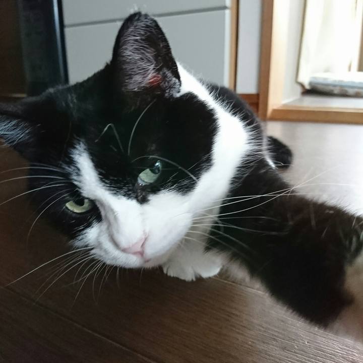 5ec5ab67 b007 4199 b9ab f1ad2b703038