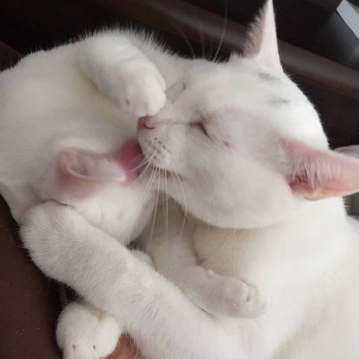 5ec5c176 af46 45ec b99f 174e907e4b9e