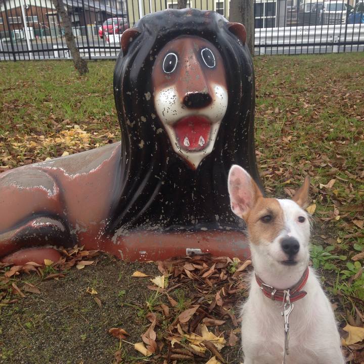 5ec6ad67 566b 4cca 98eb cee5f2ea1842