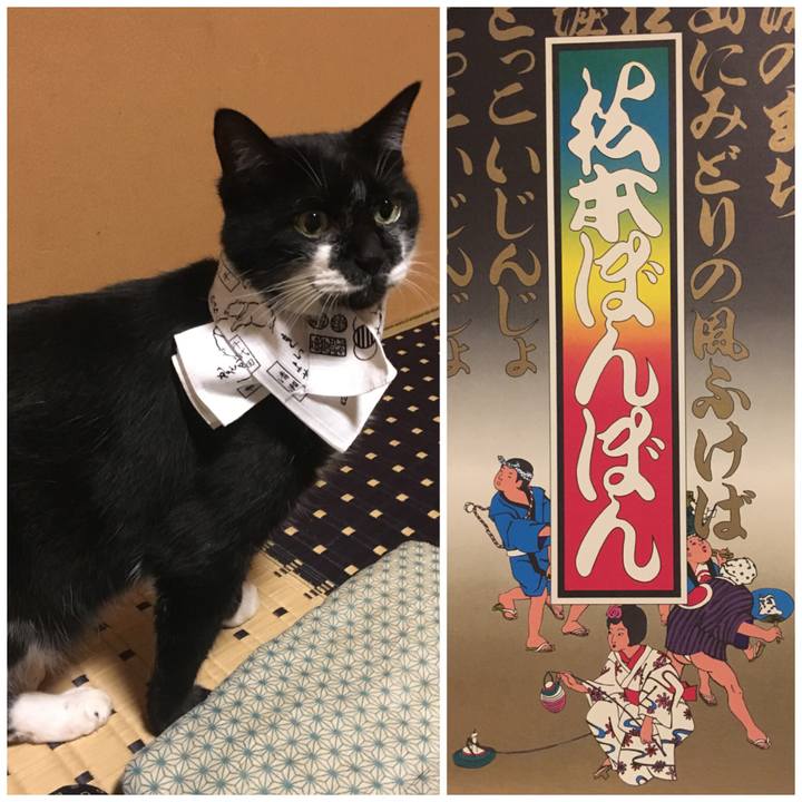 5ec6c883 914f 449d bb81 df189095dc1c