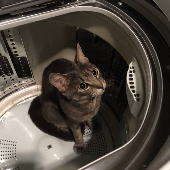 5ec7132a 722a 4273 a6ac 9cd69776300d