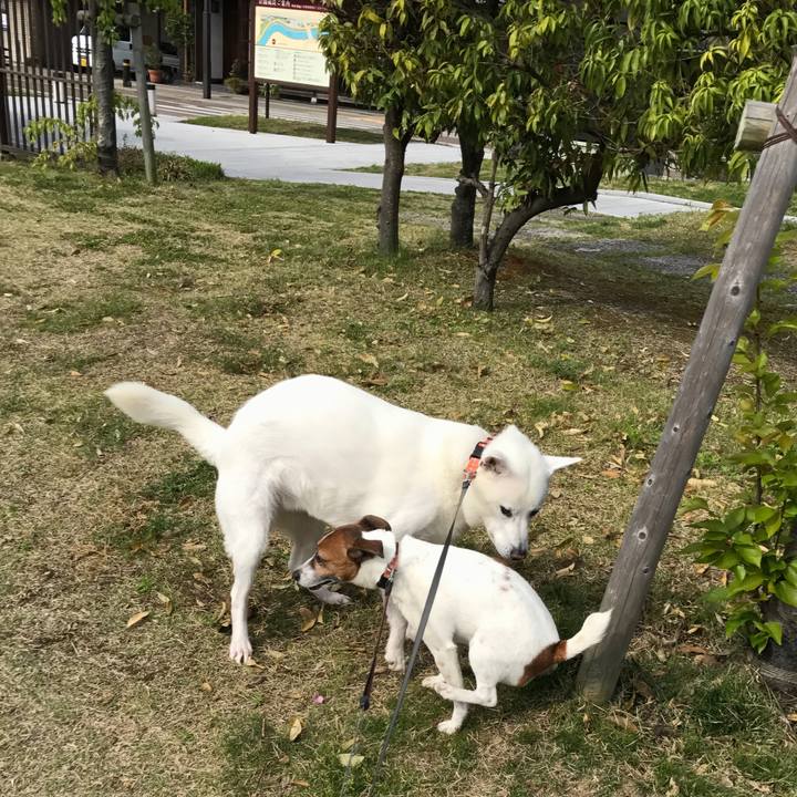 5ec720c0 0308 4209 9fe0 5f5787b8b99c