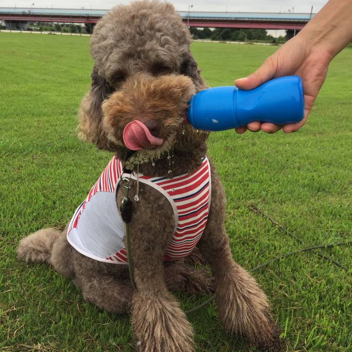 5ec7c393 df07 422c 819a f77105adf25c