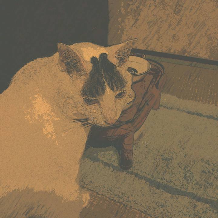 5ec80ebf 5dcd 42a4 b177 ea0ebd8bb76d