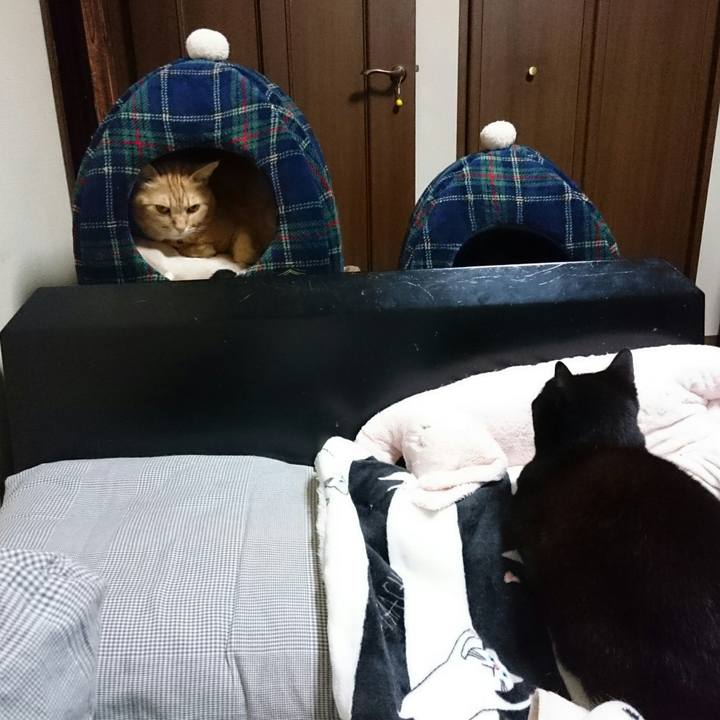 5ec9297f 6fb1 46b4 b0bc 277dbc964623