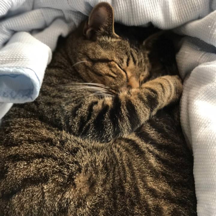 5ec9fad8 4154 4536 a045 e10ff3dc9a71