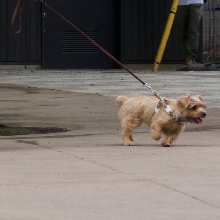 5eca8ad2 8b18 40c8 b257 6f675e3334d2