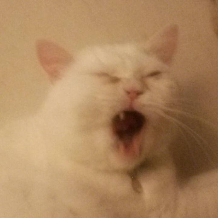 5ecad29a d82a 4e2c 834d 3f506f8fdecf