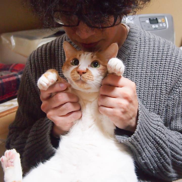 5ecb5ef1 cf40 42b8 96dd 4d08528cd8ce