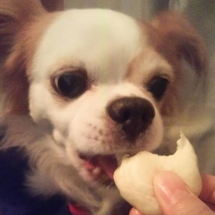 5ecb5fd1 121e 4b8b a0a3 23c7ad41c274