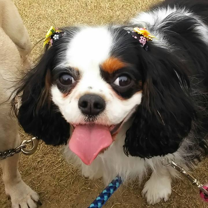 5ecc59da 5f76 4ee1 993a 0a5ca697cdbb