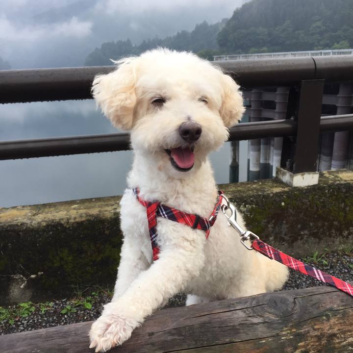 5ecc6199 de70 4a82 9312 2e14c4e3a422