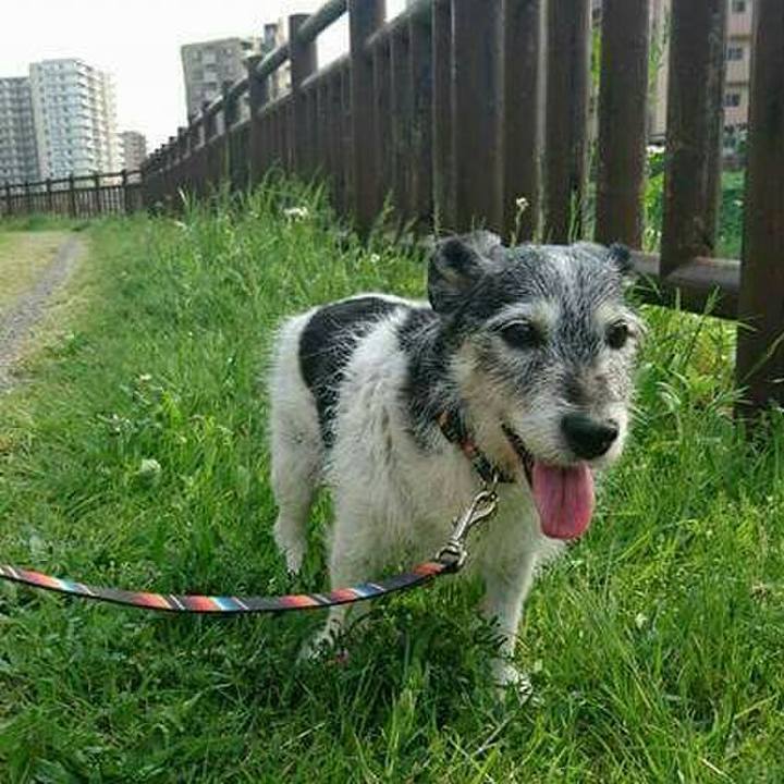 5ecccac8 3a77 409e ae63 bd3df4acf291