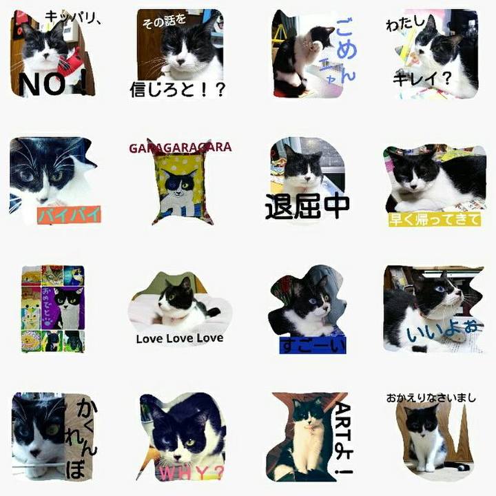 5ecd0b45 777a 4205 9a81 3dae8a620e60