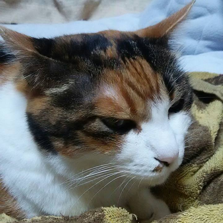 5ecda22b ebfd 4959 a8db da86ae4cd5d2