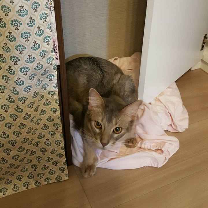 5ece03a0 da37 4018 8800 259ec3ffe65b