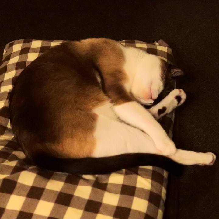 5ed014d0 58dc 49de 822e 4b74e2355d90