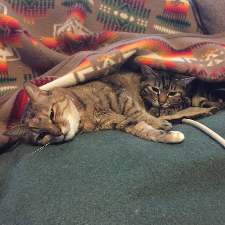 5ed0325d b689 4264 8b37 6dad11b1cc65