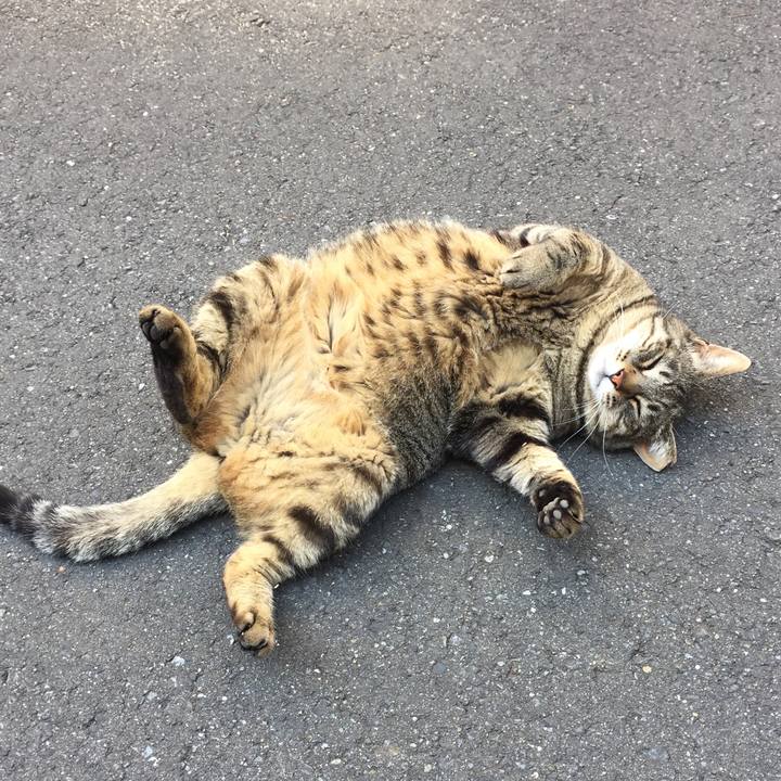 5ed08d13 24d9 4784 b473 b7f4aec6d7b2