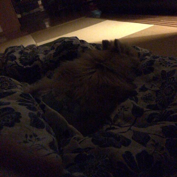 5ed1179d c09f 4ecc b13f a2015cb35ff6