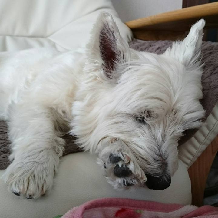 5ed123dd fa78 4a44 9407 58581681a255