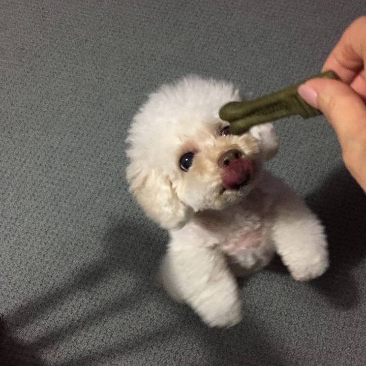 5ed126a3 ab62 451a 9bb2 2c9c6cef3692