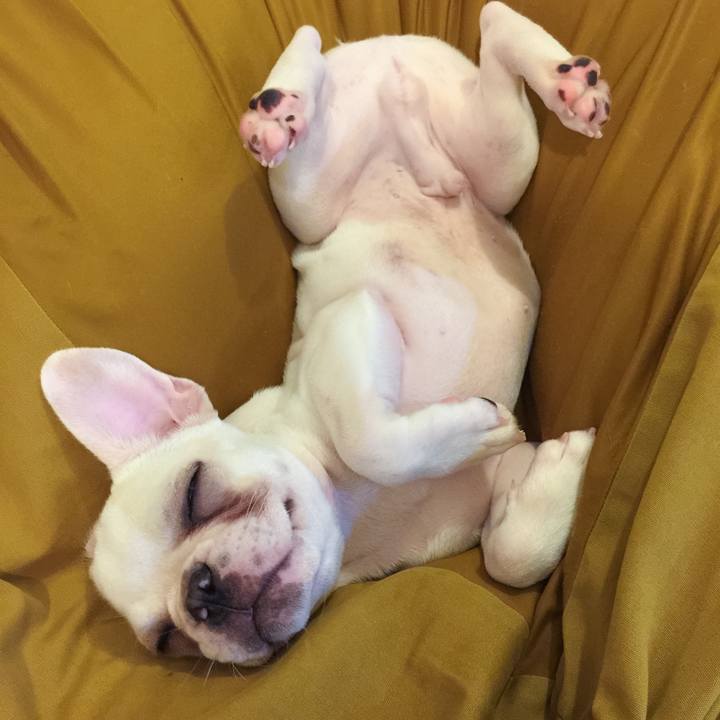 5ed13398 7dcc 457e 91d1 1feebcab9545