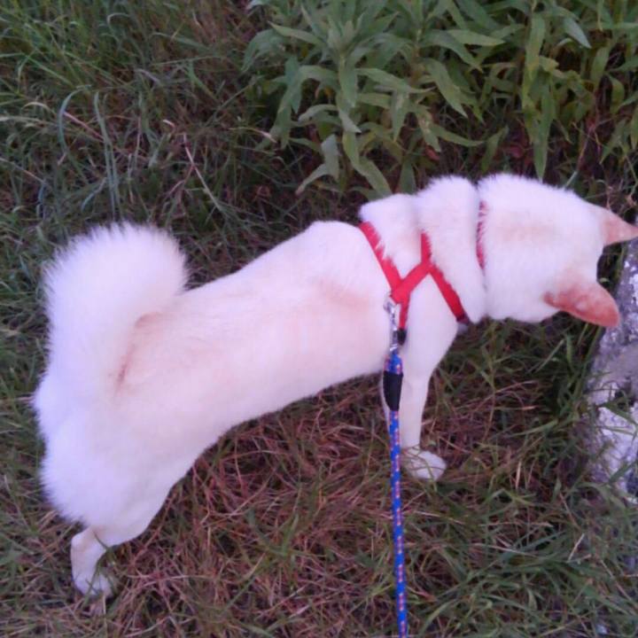 5ed13f80 f8f8 4248 885c ba4f9b0b785a