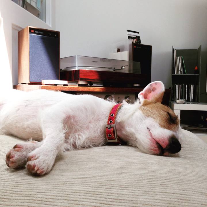 5ed17bca cb0e 4dc3 ad78 9347595a03ff