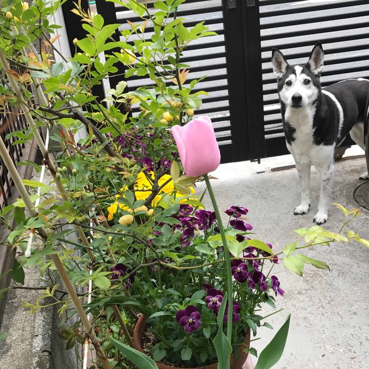 5ed1dfbb 6329 4ef3 8622 1bf3a6958b0e