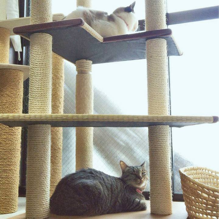 5ed232fe 3e81 43dd a509 8ae7d8494524