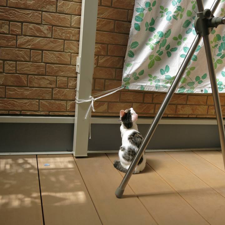 5ed32d78 c147 48fc ba2d c685718148d4