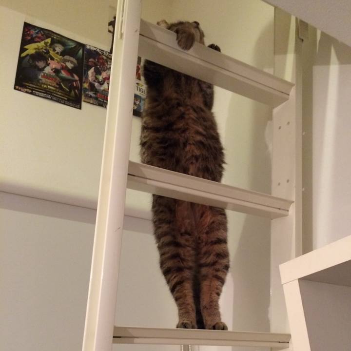 5ed33e28 9919 4517 a33b bdc88999078a