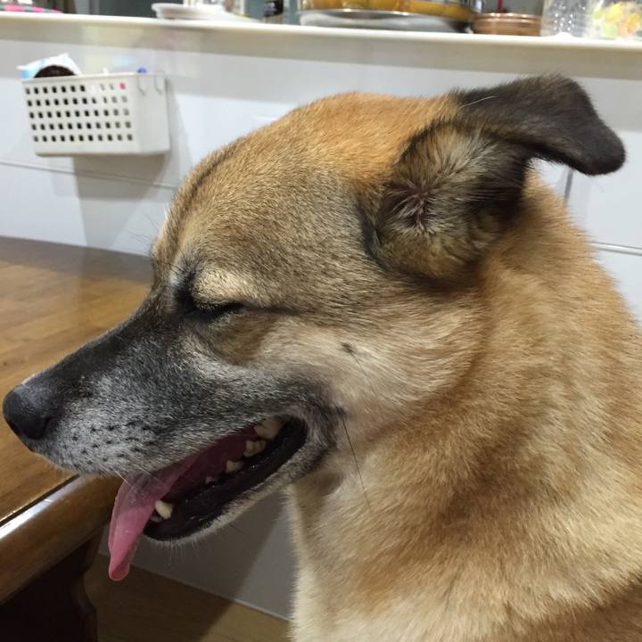 5ed397f2 822d 4444 917a 17790294b166