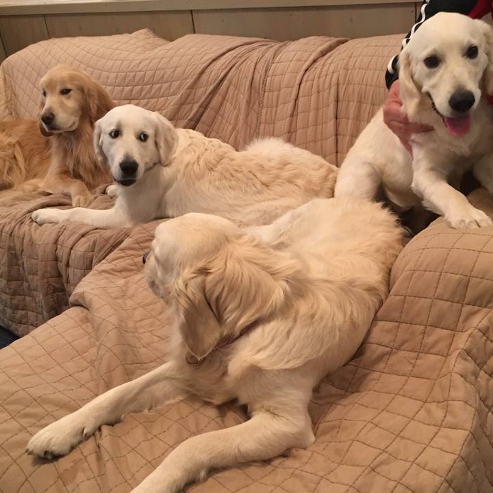 5ed3a2b2 8557 484e bcd5 6c490c5ed0d8