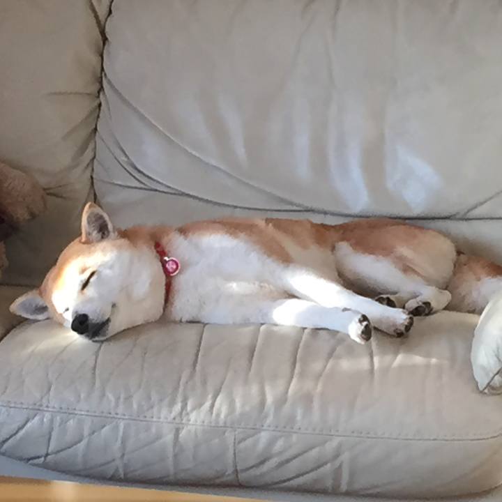 5ed45ac4 233d 4314 ad2c a8e5e847ba2f