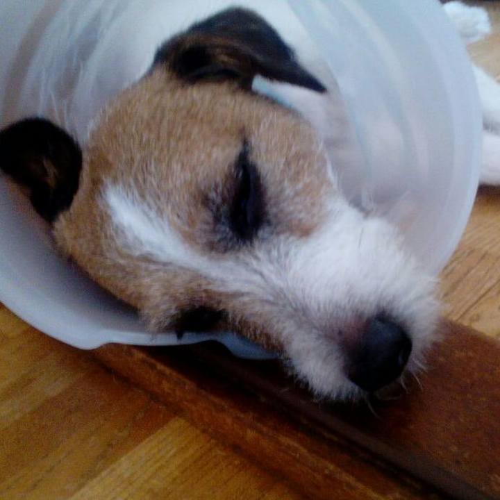 5ed496d2 046a 4aae b479 9d6ae70ca20e