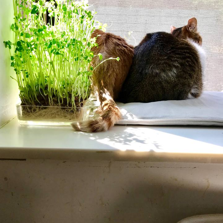 5ed5e337 7dfc 4709 a399 58f30d9078a7