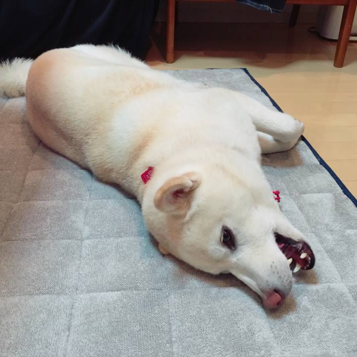 5ed5f024 f648 4e5e b8a0 986fe30f4afb