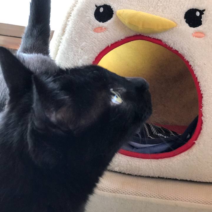 5ed6400a a652 4d1c b016 ce40261f0ebd