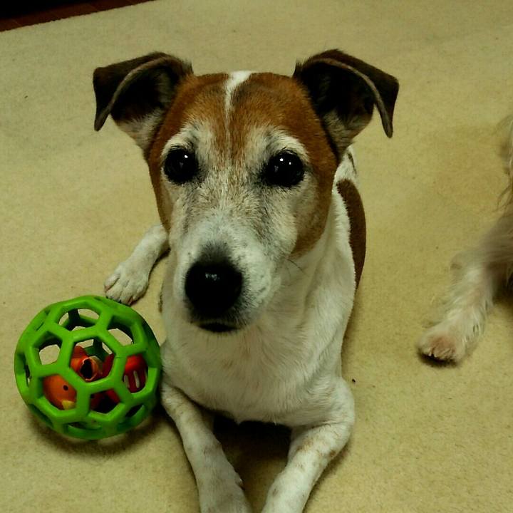 5ed68be0 1986 4164 9656 fa81f8f617db