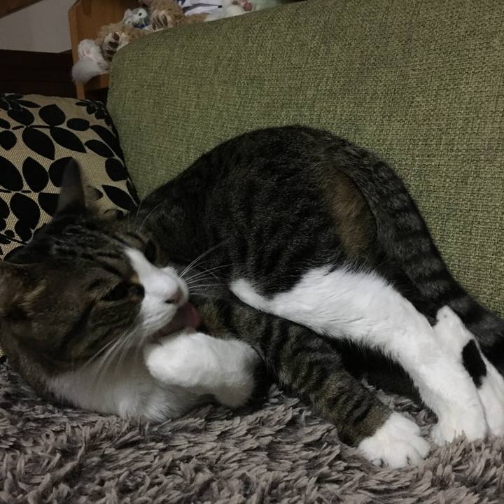 5ed6b6c7 8321 48b2 837f 31d65d921334