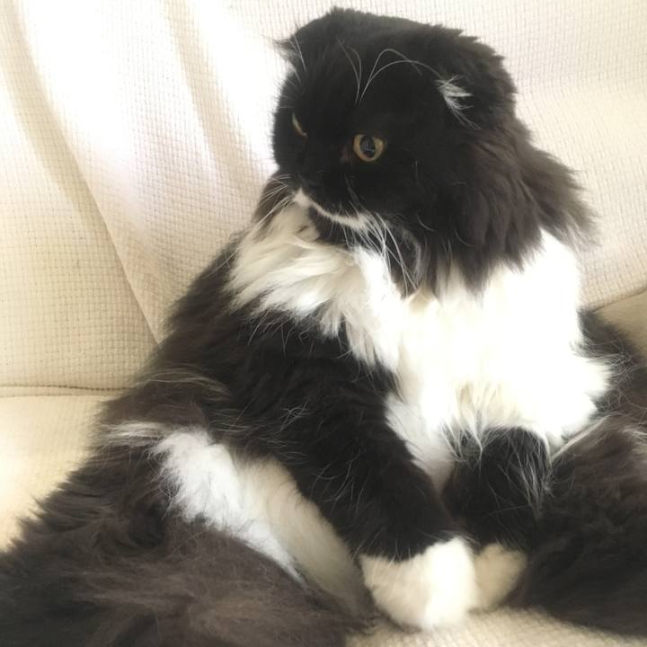 5ed6d87a 2224 429a bf9d f121e9239667