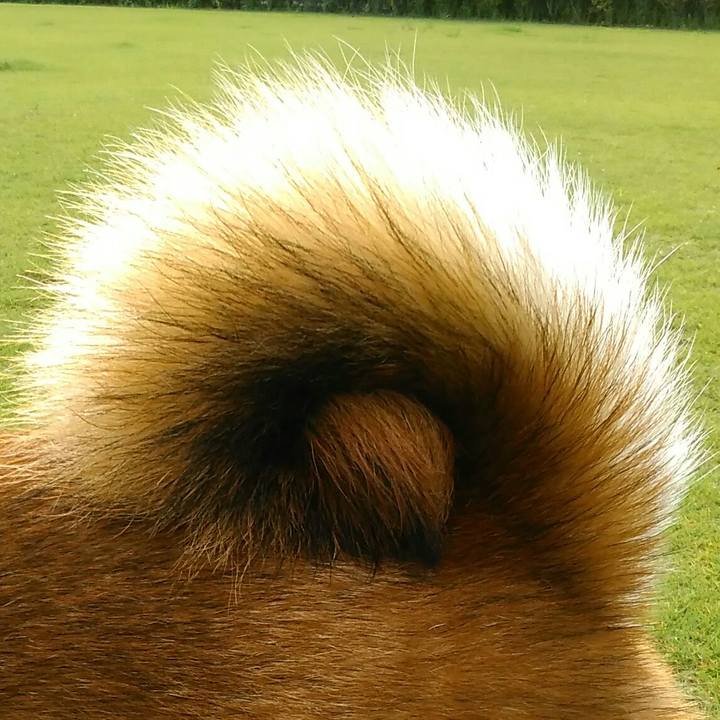 5ed7cf0b 11f1 4edb 9a23 77ab604d0a92