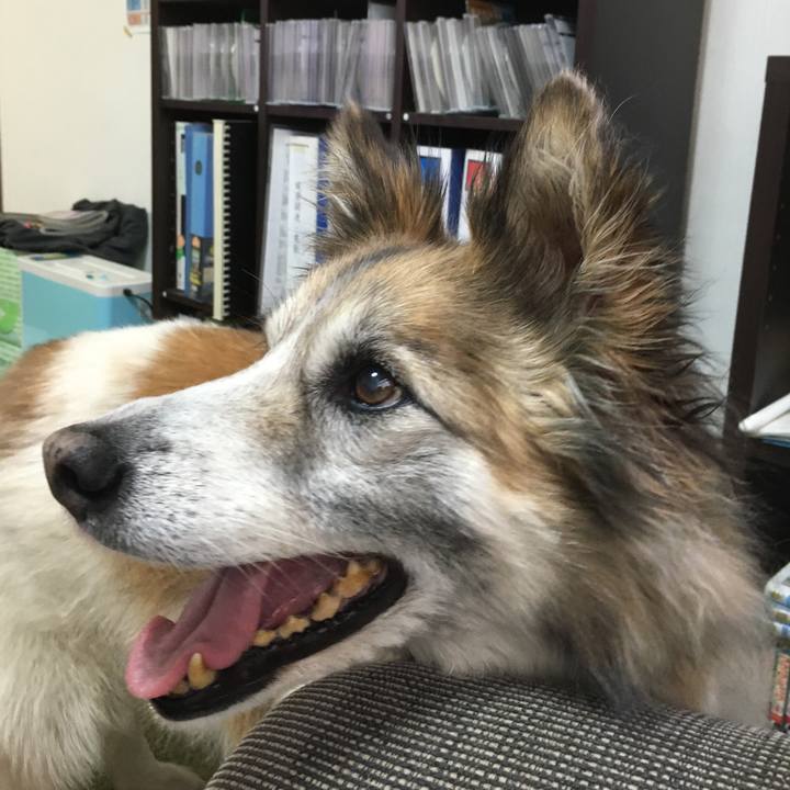 5ed7f17f d1b4 4471 9737 e38cbf3bb39b