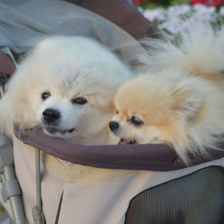 5ed84f17 fef6 4344 88b9 d5f449edf497