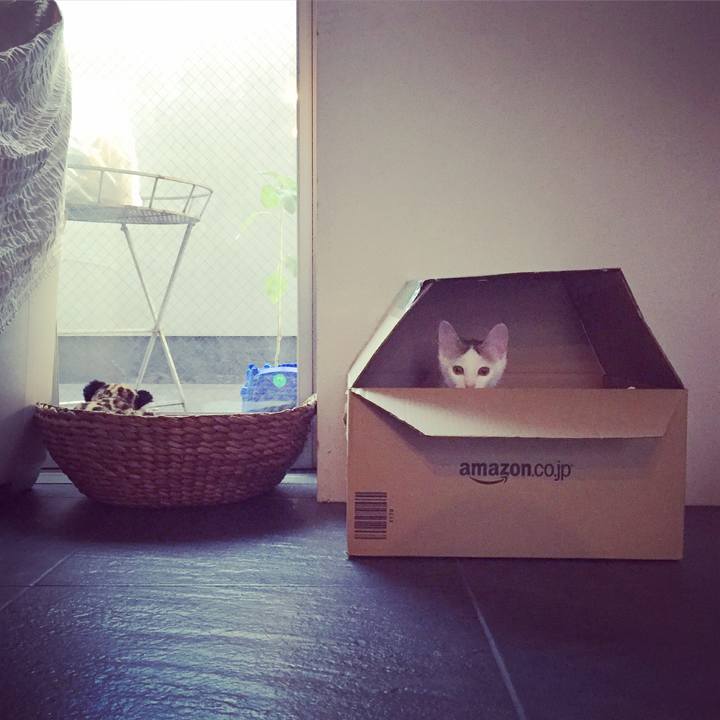 5ed89112 2fe3 4c60 85f7 4475726ce33e