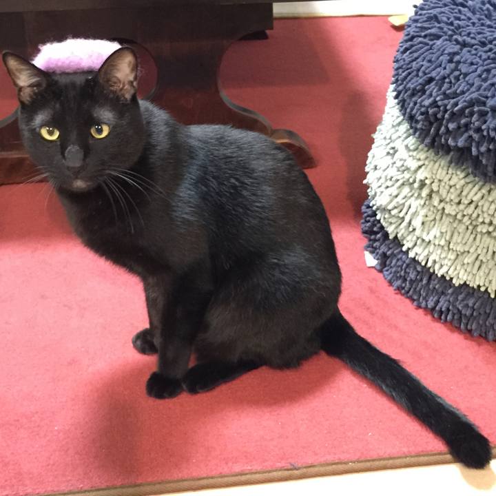 5ed8b146 655d 46f8 a0b9 4c1732885caf